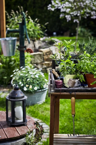 Scena Del Giardino Primaverile Con Lanterna Erbe Vaso Tavolo Rustico — Foto Stock