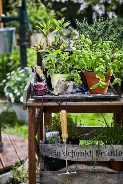 Trädgårdsbord Med Krukväxter Garnbollar Kratta Och Murslev Våren — Stockfoto