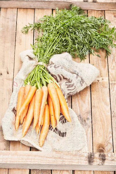 Une Grappe Jeunes Carottes Printemps Fraîches Succulentes Avec Leurs Feuilles — Photo