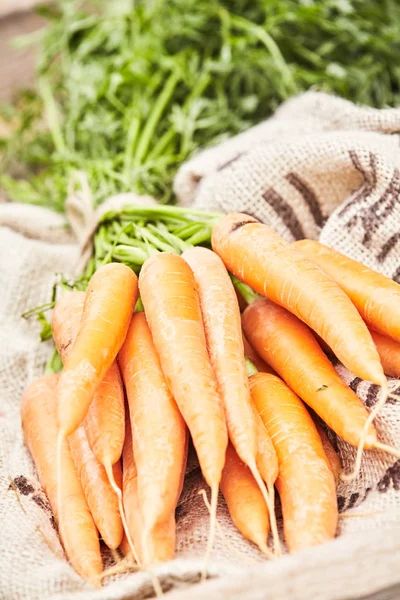 Gros Plan Sur Bouquet Jeunes Carottes Fraîches Lavées Avec Leurs — Photo