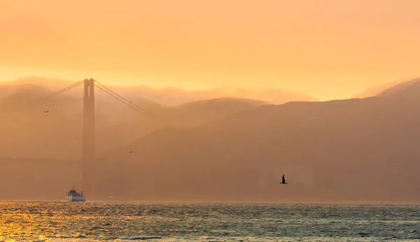 Fotografia Ponte Golden Gate Entardecer Com Nevoeiro Pássaros Barco — Fotografia de Stock