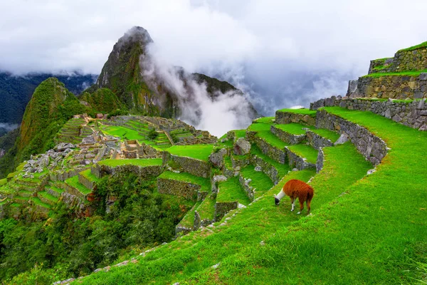 Machu Picchu Cusco Perú Visión General Ciudad Inca Perdida Machu — Foto de Stock