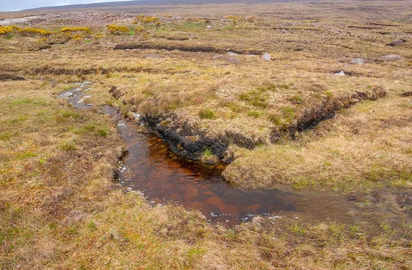 Mokřadní Krajinu Connemara Oblast Irsku — Stock fotografie