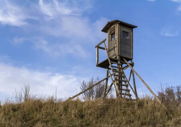 Colpo Angolo Basso Una Stalla Caccia Legno Ambiente Soleggiato — Foto Stock