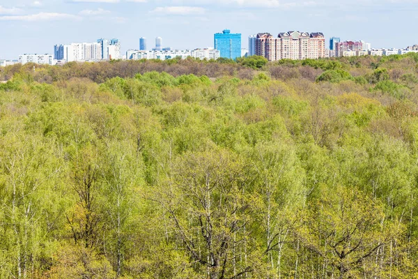 Весною Горизонті Міським Парком Зеленим Листям Москві — стокове фото