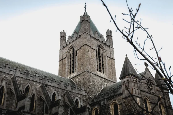 Detalhe Arquitetônico Christ Church Cathedral Cathedral Holy Trinity Histórico Dublin — Fotografia de Stock