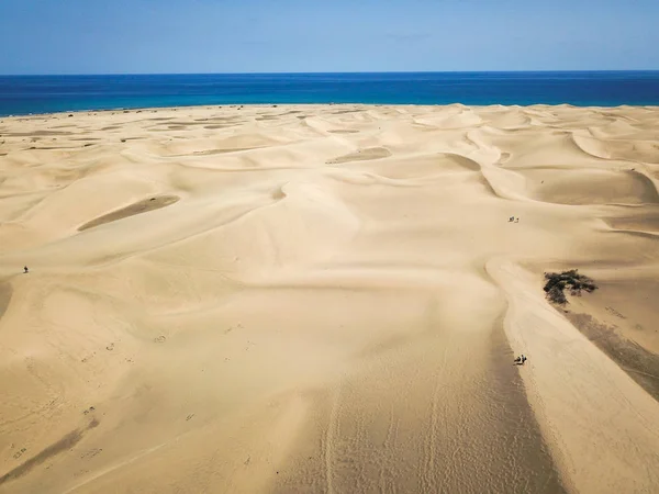 Пустеля Сушений Пісок Землі — стокове фото