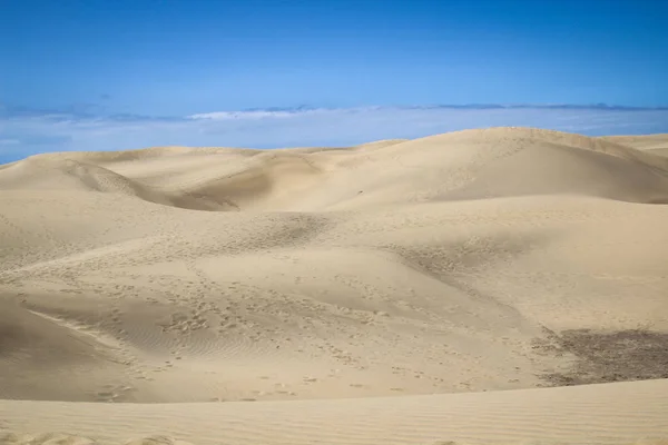 Öken Vissnad Jord Sand — Stockfoto