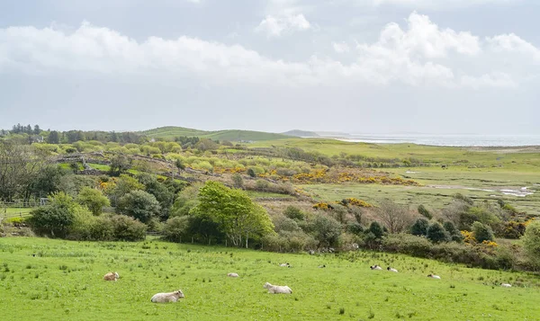 Paisaje Natural Visto Conemara Área Irlanda — Foto de Stock