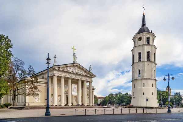 立陶宛维尔纽斯圣斯塔尼斯劳斯和圣拉迪斯劳斯大教堂 — 图库照片
