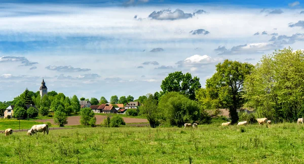 牧草地 教会の背景を持つフランスの田舎 — ストック写真