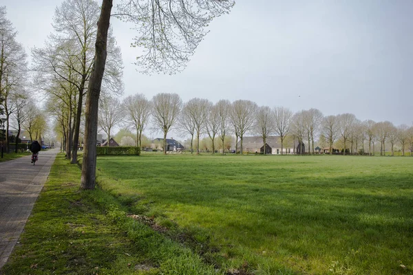 オランダの緑の野原と小さな村 カラフルな農場風景の中で自転車に乗った人々 — ストック写真