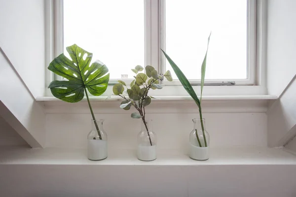 Interior Elegante Jardim Casa Com Diferentes Vasos Cerâmica Concreto Peitoril — Fotografia de Stock