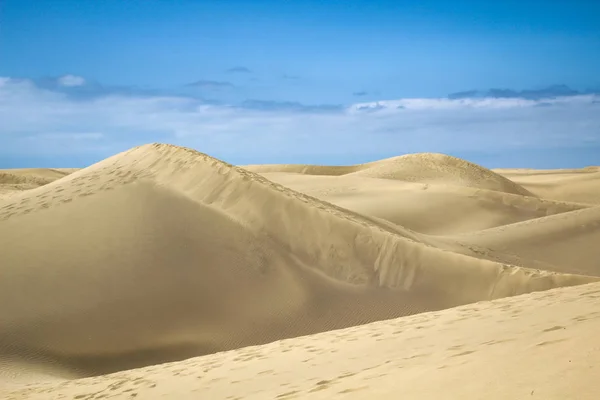 Öken Område Med Sanddyner Blå Himmel — Stockfoto