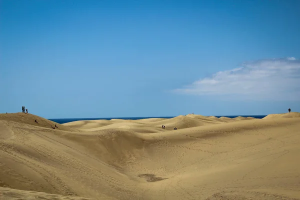 蓝天下沙丘覆盖的沙漠地区 — 图库照片