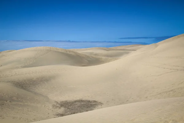 Öken Område Med Sanddyner Blå Himmel — Stockfoto