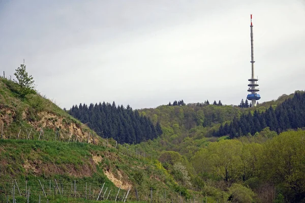 Vogtsburg Totenkopf Haberleşme Kulesi — Stok fotoğraf