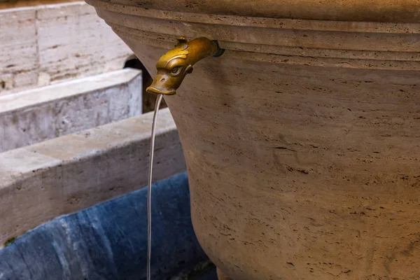 Ancient Water Fountain Appearance Duck — Stock Photo, Image