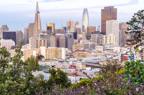 San Francisco Şehir Manzarası Günbatımı Hava Manzaraya Ina Coolbrith Park — Stok fotoğraf