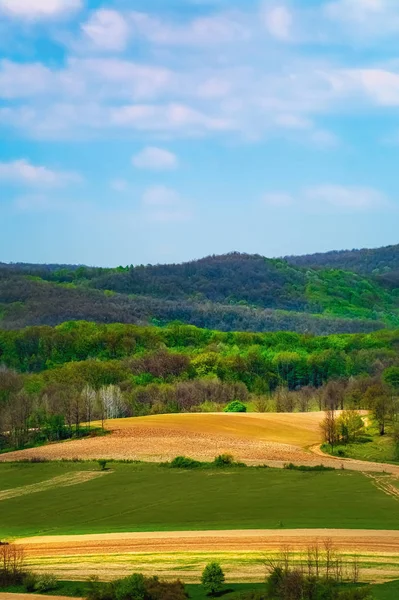 Agricultural Fields Carpathian Mountains Romania — Stock Photo, Image