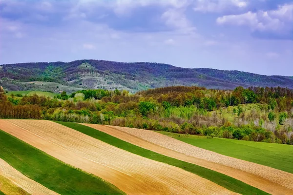 Landwirtschaftliche Felder Den Karpaten Rumänien — Stockfoto