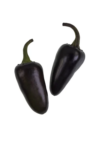 紫色贾拉皮诺是一种中等大小的辣椒 品种辣椒 开始绿色和成熟到深紫色 — 图库照片