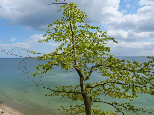 Danzig Polen Und Der Ostsee — Stockfoto