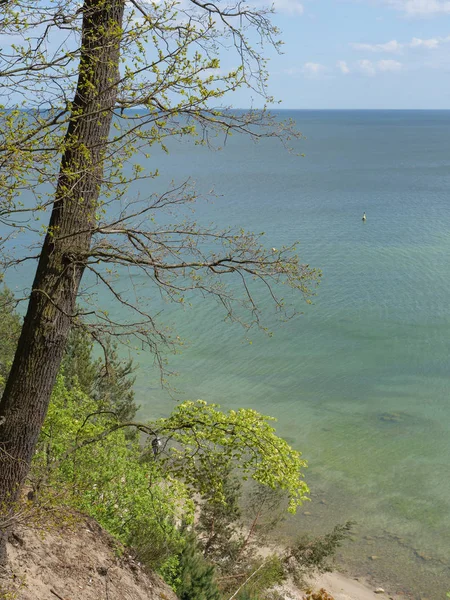 Гданськ Польщі Балтійському Морі — стокове фото