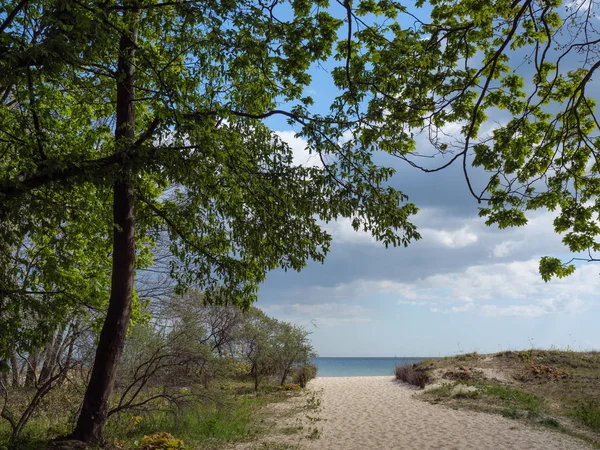 Gdansk Polen Och Östersjön — Stockfoto