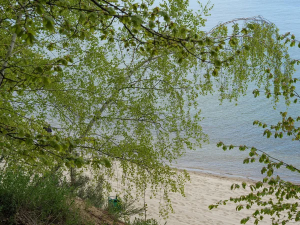 Malerischer Blick Auf Die Outdoor Szene — Stockfoto