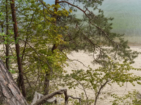 Gdansk Polen Och Östersjön — Stockfoto