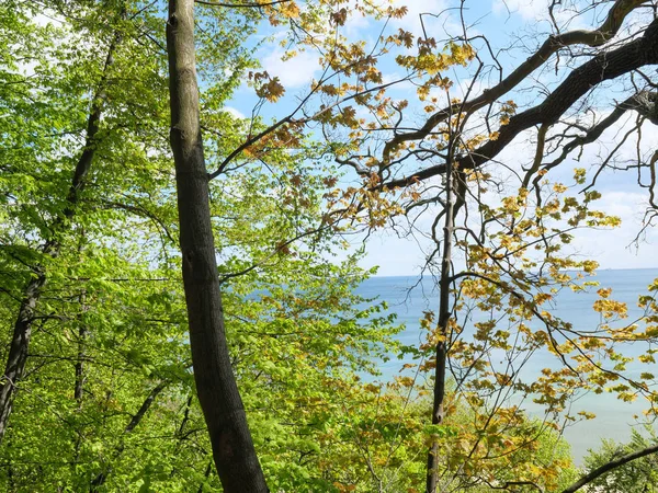 Danzig Polen Und Der Ostsee — Stockfoto