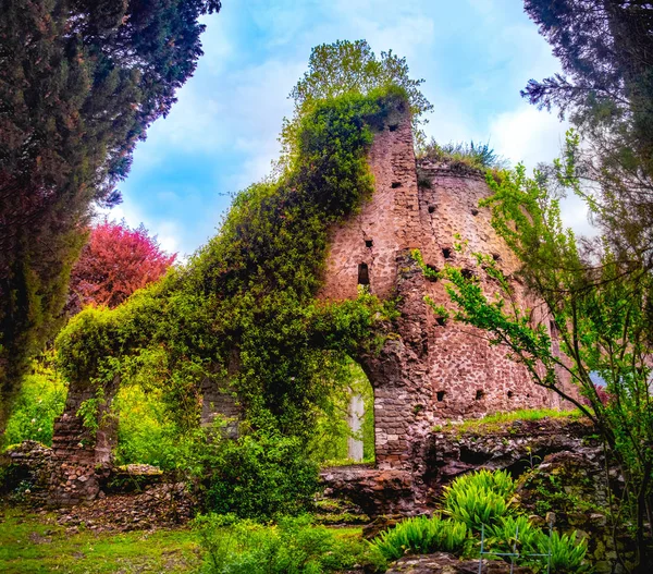 ラティーナのジャルディーノ デッラ ニンファ庭園のカラフルな遺跡 ラツィオ イタリア — ストック写真