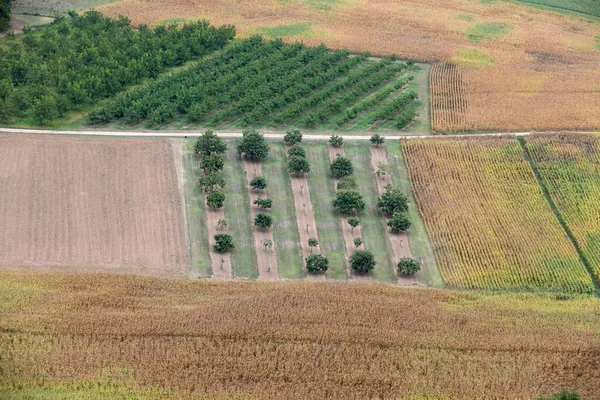 Widok Pola Łąki Dolinie Dordogne Murów Starego Miasta Domme Dordogne — Zdjęcie stockowe