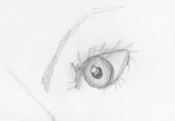 Эскиз Человеческого Глаза Бровью Нарисованной Карандашом Белой Бумаге — стоковое фото