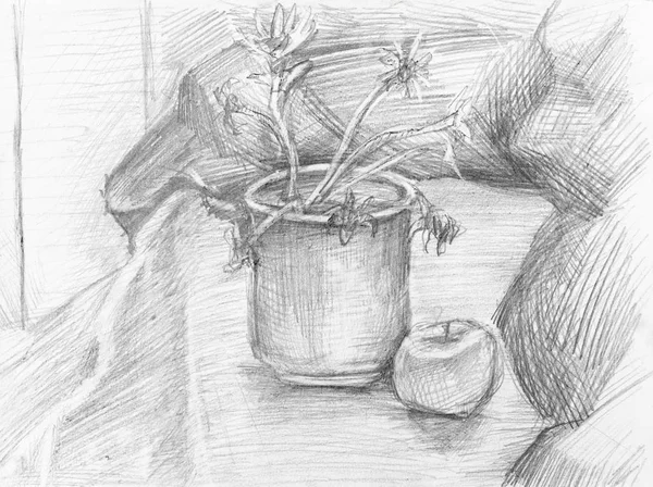 Still Life Apple Dried Flowers Bucket Table Hand Drawn Black — Stock Photo, Image