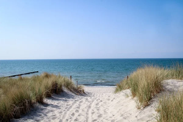 Utsikt Över Sanddynerna Och Stranden Vid Östersjön — Stockfoto