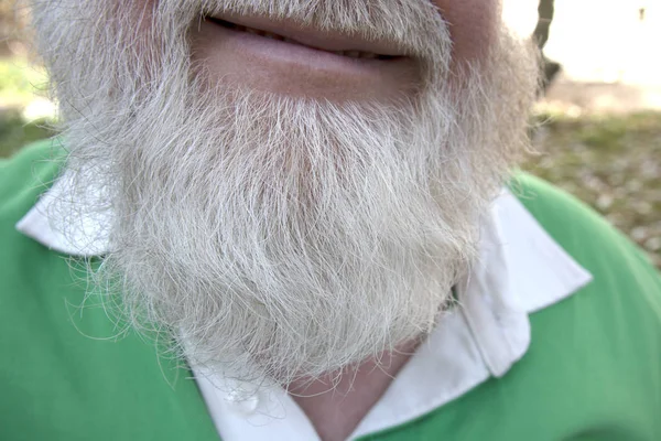 Barba Cheia Brilhante Detalhes Uma Cara Sorridente — Fotografia de Stock