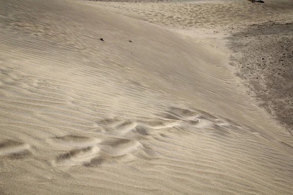 青い空と砂のテクスチャの下に砂丘がある砂漠地帯 — ストック写真