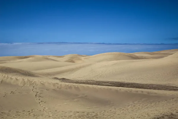 Región Desértica Con Dunas Bajo Cielo Azul Textura Arena — Foto de Stock