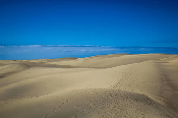Wüstenregion Mit Dünen Unter Blauem Himmel Sandstruktur — Stockfoto