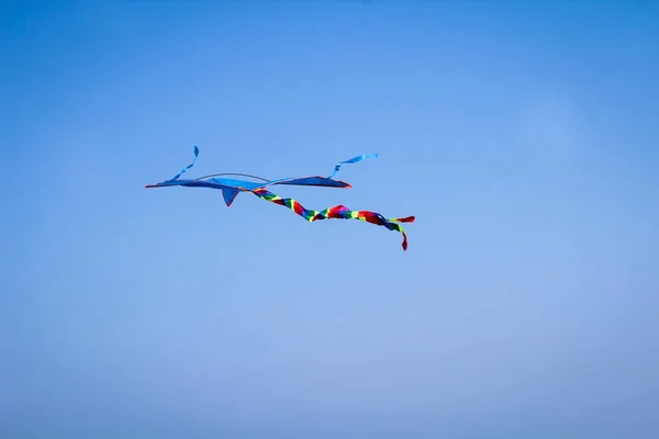 Blauwe Stuntvlieger Lucht Aan Baltische Zee — Stockfoto