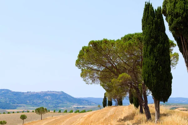 Προβολή Λόφους Τοσκάνη Ιταλία Ιταλικό Τοπίο Toscana — Φωτογραφία Αρχείου