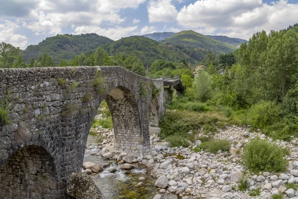 Historický Kamenný Most Řeky Ardeche Jižní Francii — Stock fotografie