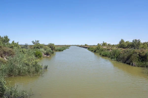 Zonnige Waterkant Landschap Een Streek Genaamd Camargue Zuid Frankrijk — Stockfoto