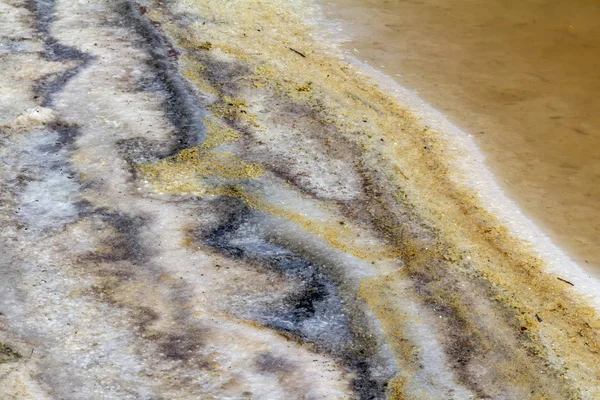 Primer Plano Ribereño Una Laguna Salina Camarga Una Región Natural — Foto de Stock