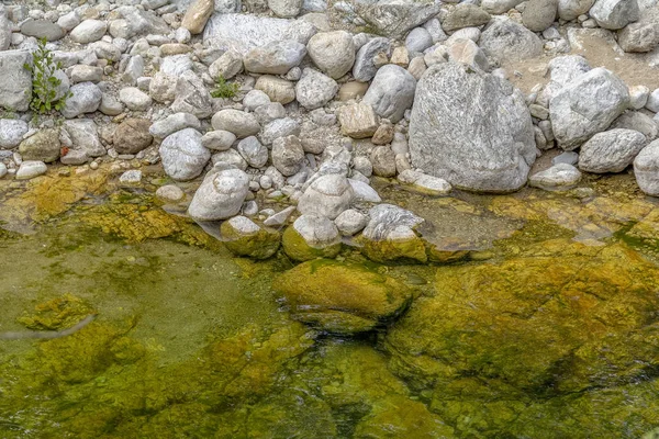 Folyó Mentén Camargue Egy Természetes Régió Dél Franciaországi Parti Vértes — Stock Fotó