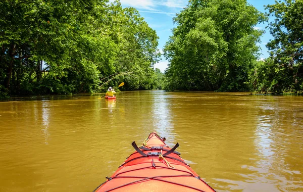 Kayaking Big Elkhorn Creek Central Kentucky Summer — Stock Photo, Image