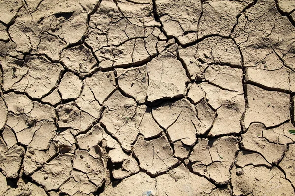 Debido Falta Lluvia Tierra Secó Con Grietas Cambio Climático — Foto de Stock