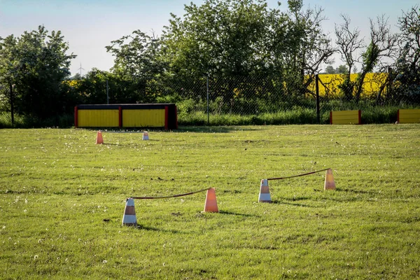 Training Ground Dog Owners Dogs — Stock Photo, Image